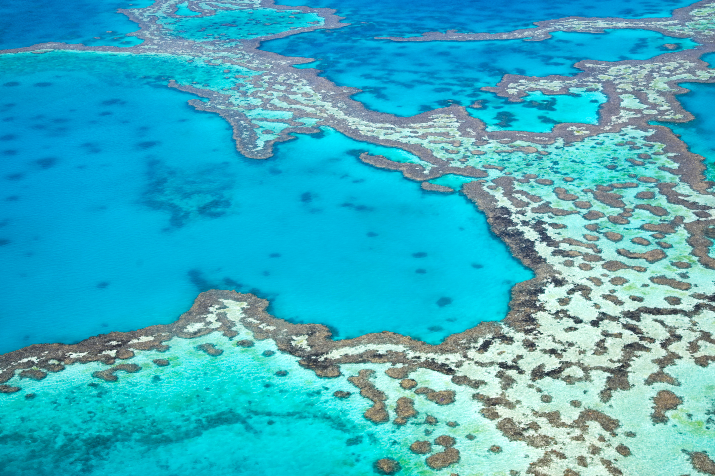 182 great barrier reef, queensland.webp